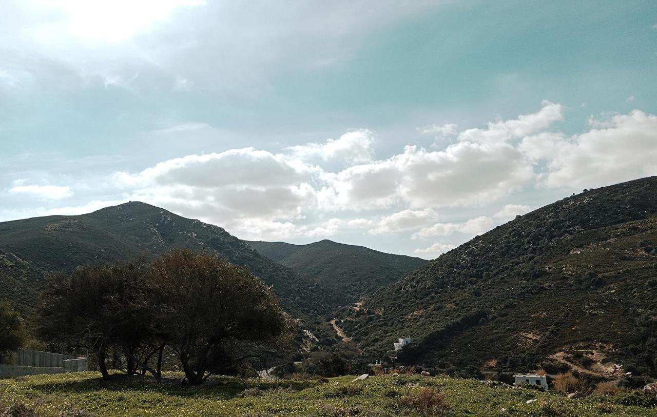 Vila Korfe Estate Fodele Exteriér fotografie